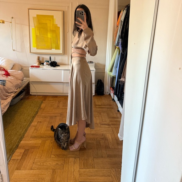 Taupe silk midi skirt by Lapointe - Picture 2 of 3